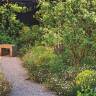 The Secret Edible Garden: How to Integrate Fruits and Veggies into Your Landscape