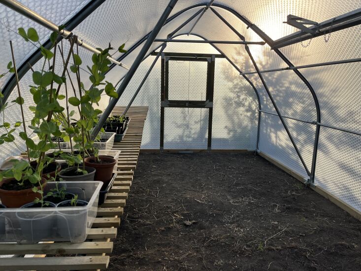 \2\20;My main news, even while the Chelsea Flower Show has been going on, has been the arrival of our polytunnel (greenhouse). A bit larger than we would have asked for, but it\2\17;s an ex-display model from the Malvern Flower Show. It\2\17;s made by Keder. Their designs are known to withstand gales in the Hebrides; the walls are like giant bubble wrap.\2\2\1; \2\1\1; Kendra Wilson