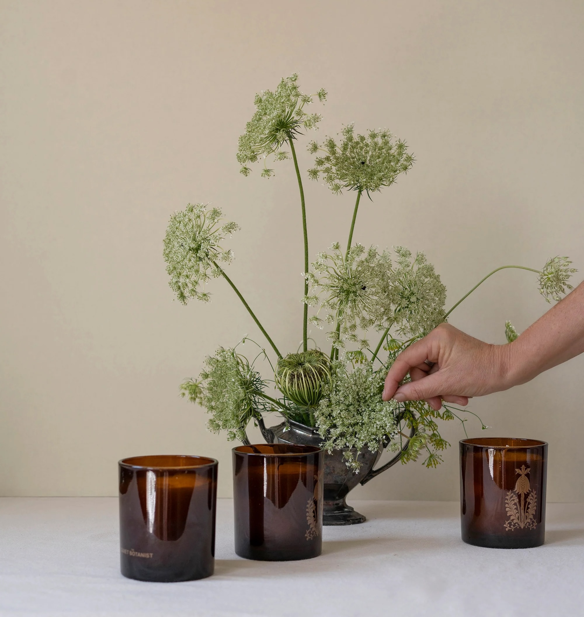 Quiet Botanist In the Weeds Candle Crop