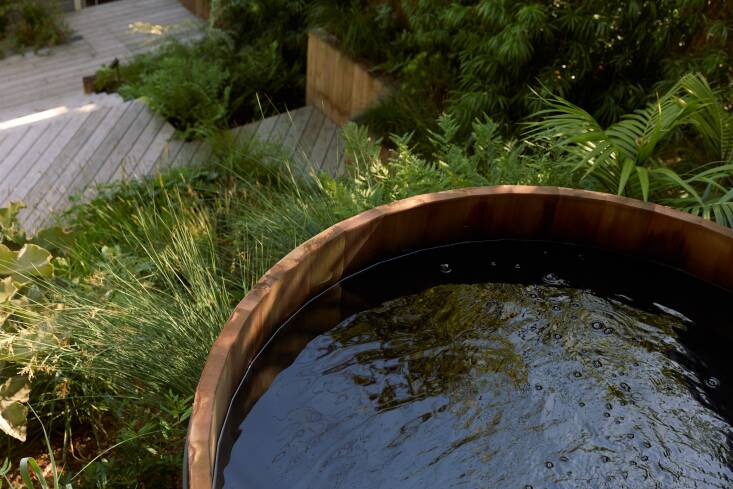 View from the cedar tub.