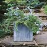 Beyond 'Thriller, Filler, Spiller': 5 Creative Summer Outdoor Planter Ideas from Terrain's New Book