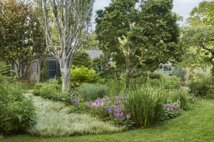 A “river” of Acorus gramineus ‘Variegatus’ was planted within the Beech Glade to connect the Summer House and the Gazebo while highlighting the glade’s namesake trees. Astilbe chinensis ‘Vision in Red’ grows to one side of the Acorus; the Summer House lies beyond.