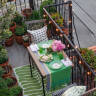 Taking Stock: My Tiny Terrace Garden Wakes Up