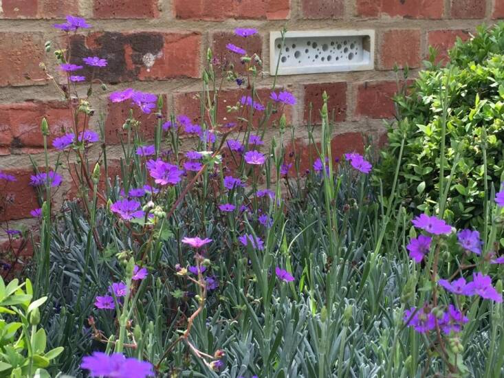 Green&Blue\2\17;s integrated animal habitats have made a few appearances at the Chelsea Flower Show. Here, its Bee Brick was installed in an Alitex greenhouse at the show. Photograph via Green&Blue.