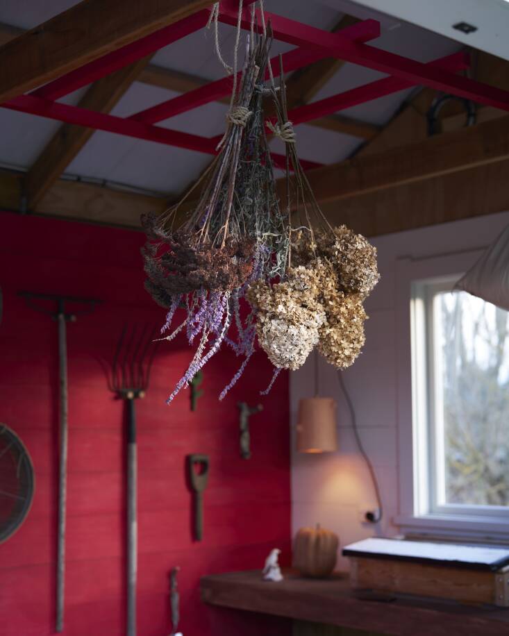 \2\20;I really love the red chili color, and it was such a surprise when I first opened the door!\2\2\1; shares Hadley. \2\20;I absolutely love the feeling inside the shed. It feels like a cozy and inspiring space that brings out my creativity.\2\2\1;