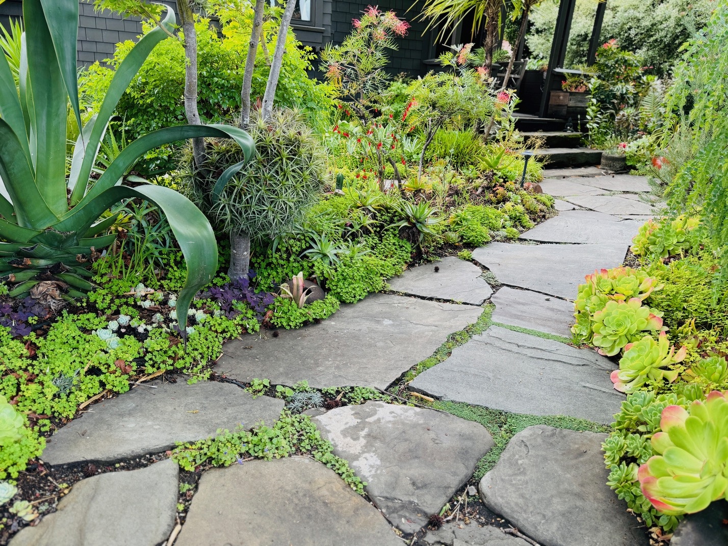 Above: Kier Holmes Mill Valley Garden