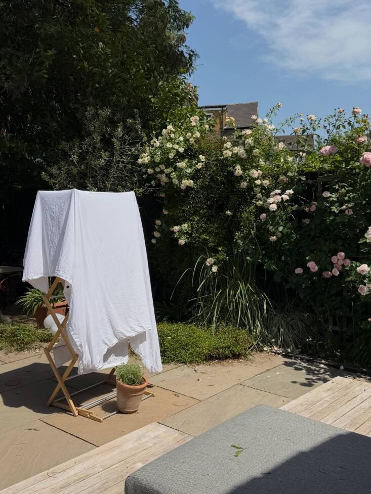 Air-drying laundry in the garden.
