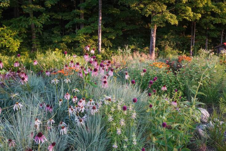 A more \2\20;meadow-y and flower-y\2\2\1; view.