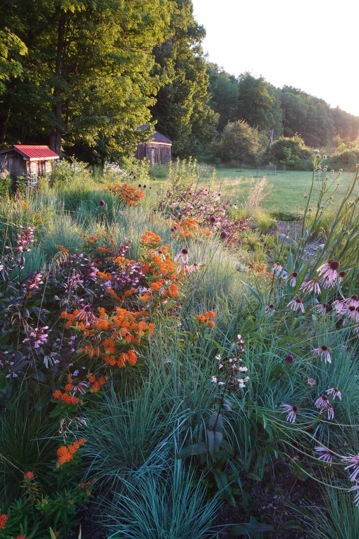 Naturalistic plantings on the berm in full bloom.