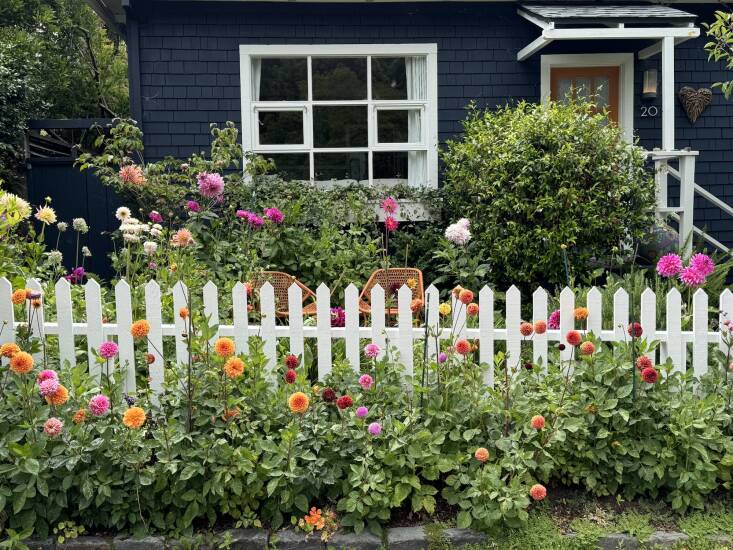 A couple of years ago, Bibby added another sitting area to the front garden, where the dahlias grow best because of all the sun. \2\20;In the summer I eat dinner out there almost every night, and it has become this wonderfully social place. People stop as they’re walking by and want to talk about the dahlias. The garden has become a way of connecting with my neighborhood as well.\2\2\1;