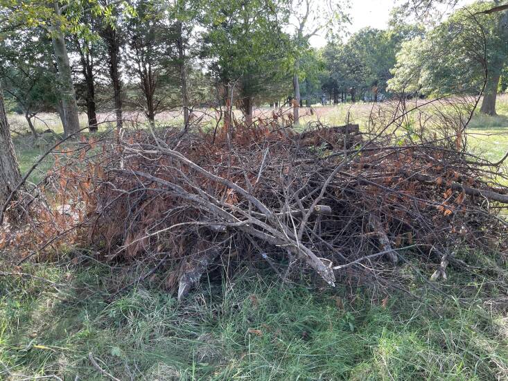 More intense storms bring fallen branches. Round them up and use them to create leaf baskets. (Read more about other ways to use the biomass on your property and close the loop.)