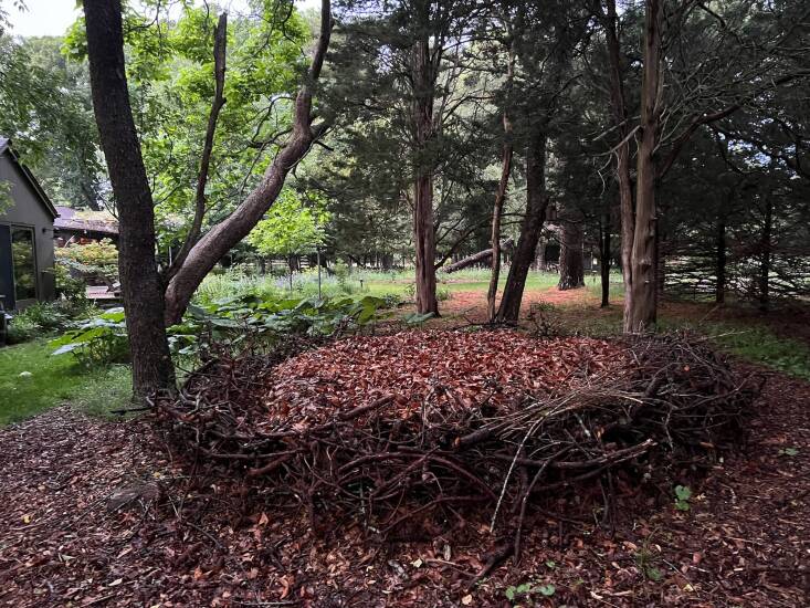 Above: At Marshouse, Perfect Earth Project founder Edwina von Gal’s garden, she stores excess fallen leaves in leaf baskets she created out of fallen branches and twigs.