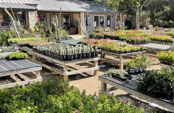 Photograph courtesy of Leaf Landscape Supply.