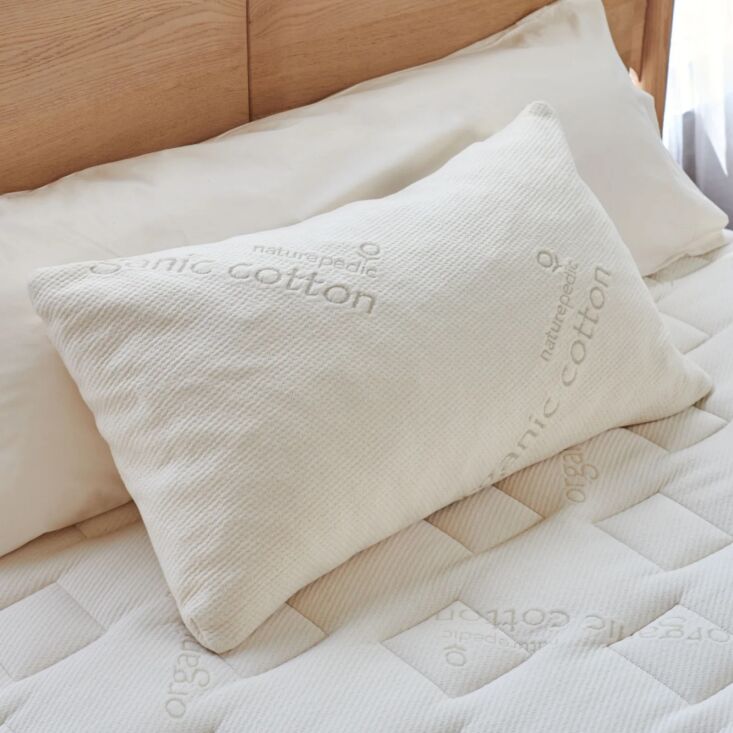 \2\20;In an effort to optimize sleep during this busy fall season, I recently did a pillow re-up. I\2\17;m a longtime adherent of latex pillows, particularly the sort you can adjust yourself by adding or removing fill. I bought these from Naturepedic which I love for both bedding and children\2\17;s mattresses.\2\2\1; \2\1\1; Alexa Hotz; photograph from Naturepedic