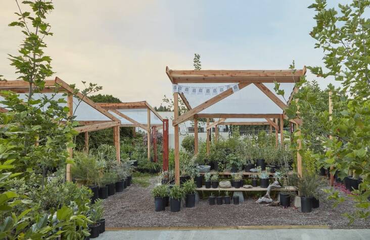 Photograph by Justin Chung for Plant Material.