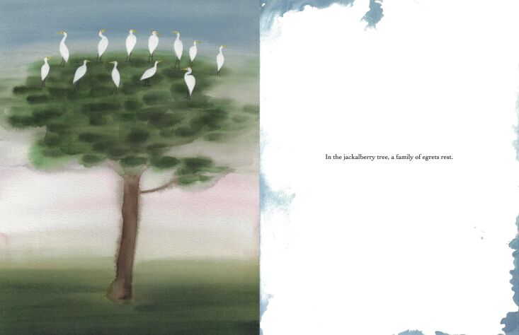 \2\20;I was really excited to see that longtime Remodelista friend and architect Solveig Fernlund co-wrote and illustrated a children\2\17;s book called The Egret and The Buffalo with Milah Libin. It\2\17;s a story of the symbiotic relationship between a family of egrets feasting on bugs that pester a family of gentle buffalo—with graphic illustrations by Libin and watercolors by Fernlund. You can order it through their publisher Dizzy Books.\2\2\1; \2\1\1; Alexa Hotz; illustration from The Egret and The Buffalo