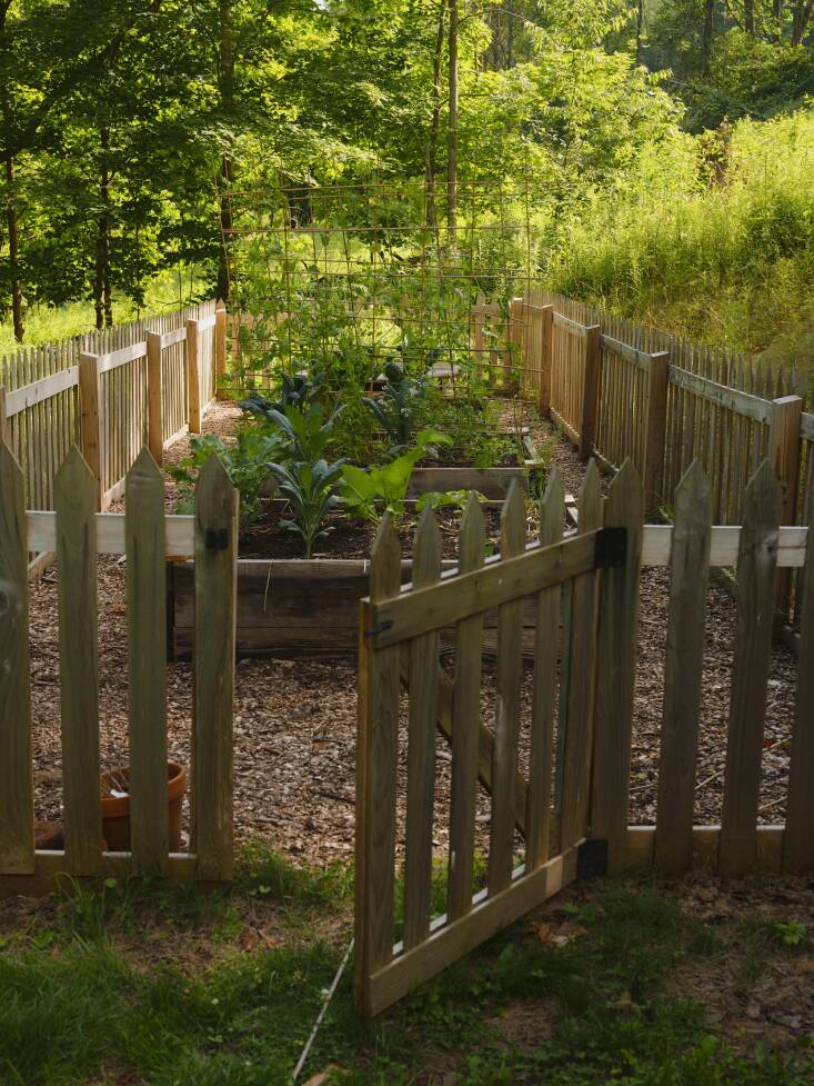 \2\20;The truth is that my husband Jonathon is almost entirely responsible for our gardens—from the building of raised beds and fences to planting to caring for all the living things—he has the patience and attention span necessary to keep at it (two things I am woefully short on).\2\2\1;