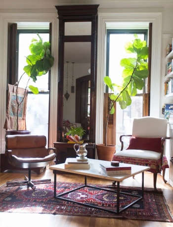 Indigo & Ochre Design Prospect Heights Brooklyn brownstone parlor floor living room