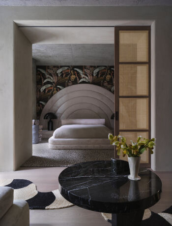 alex-p-white-limewash-marmorino-walls